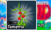 x20 Tomatrio